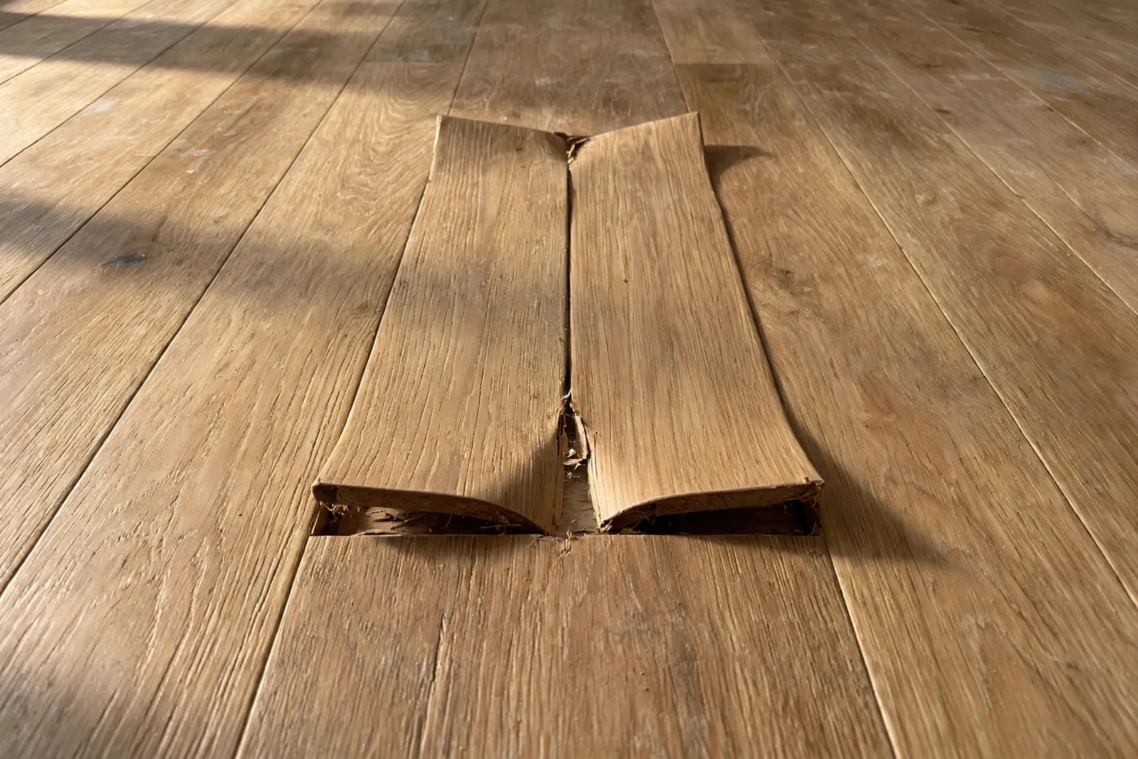 Before photo,  Damaged Plank Section in Pinefield, by Waldorf Luxury Vinyl Plank Company
